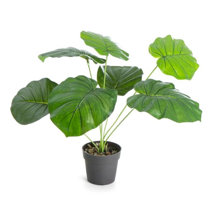 Hovedbilde Kunstig  plante Philodendron H:40cm