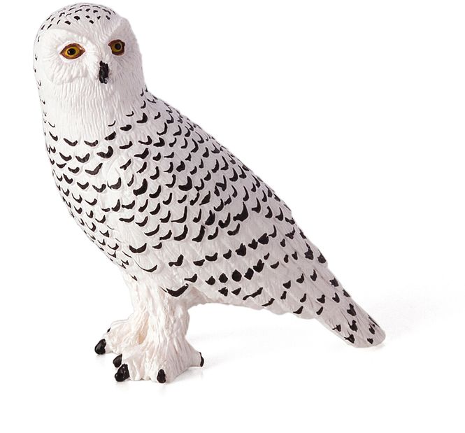 Hovedbilde Animal Planet - Snøugle