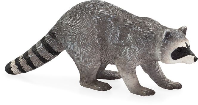 Hovedbilde Animal Planet - Vaskebjørn