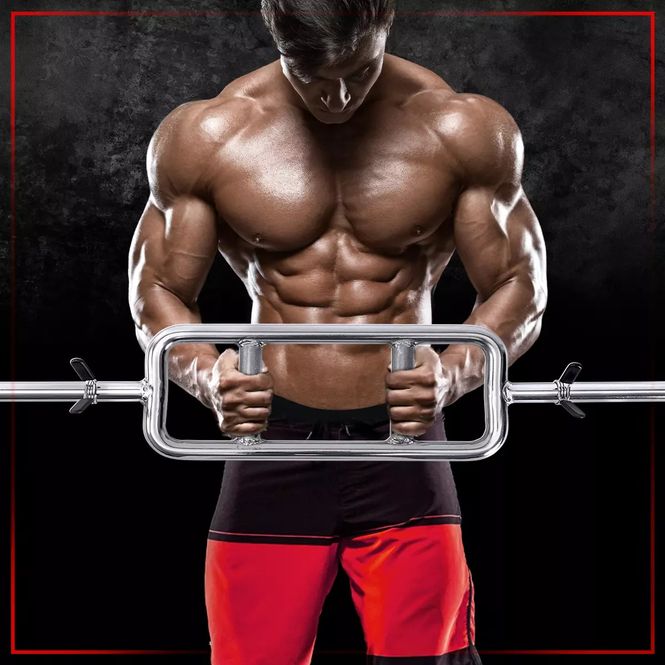 Hovedbilde Miweba Sports Triceps Trener TT101
