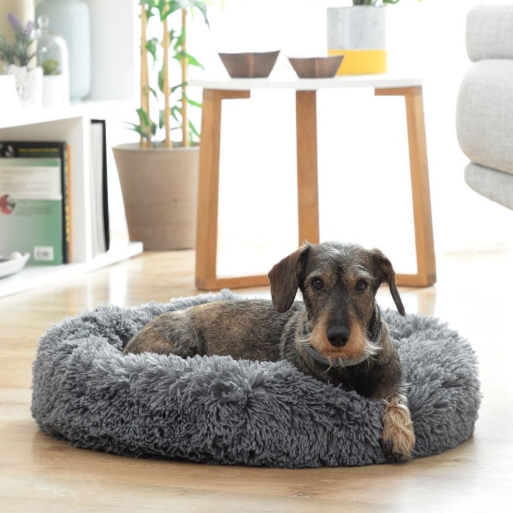 Antistressende dyreseng - hund/katt