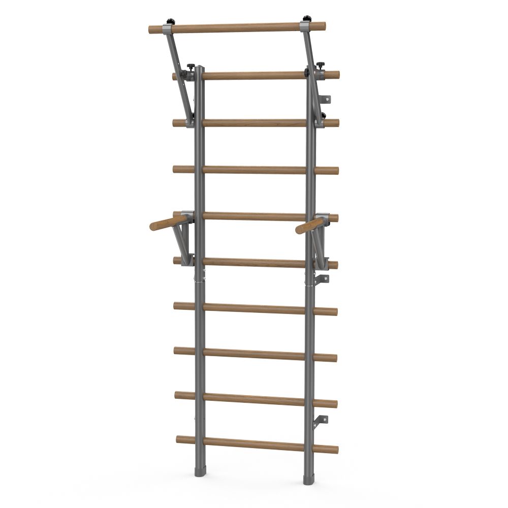Ribbevegg 199 × 80 cm med Pull-Up Bar og Dipsstativ inSPORTline Wootaline